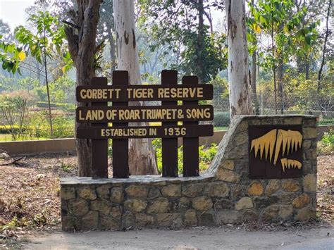 Elderly Man Harvesting Crops Mauled To Death By Tiger Near Jim Corbett ...