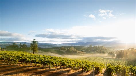 35 Best Sonoma Wineries & Wine Tasting Tours for 2026