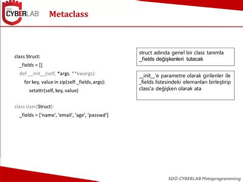 Metaprogramming Python 的图像结果