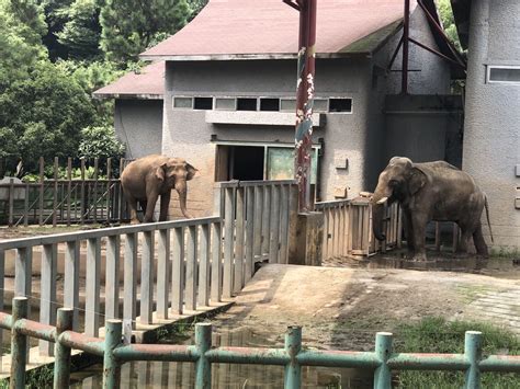 【携程攻略】南京红山森林动物园景点,红山动物园是南京最大的动物园了.里面有很多的珍贵的动物，动物园占…