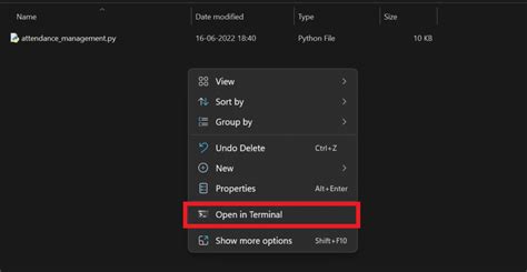How to Turn Python Code to exe 的图像结果