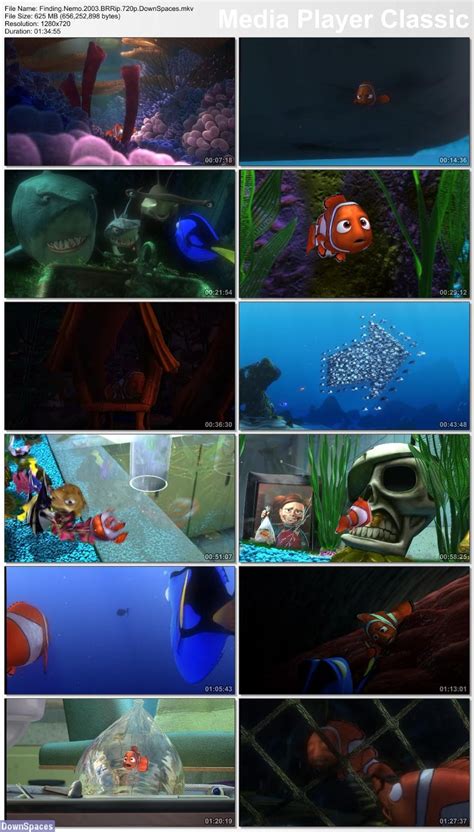 Image result for Finding Nemo Fish Net
