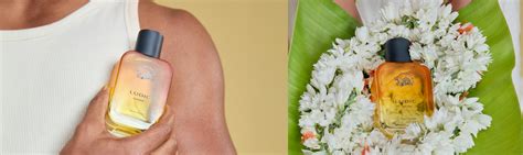 Top 10 Best Perfume for Men on a Budget (2025-26) – Ludic