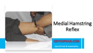 Medial Hamstring Reflex Test 的图像结果