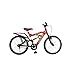 Hercules Roadeo ZXr 20T Single Speed Kids MP Cycle(Smart Red/Black ...
