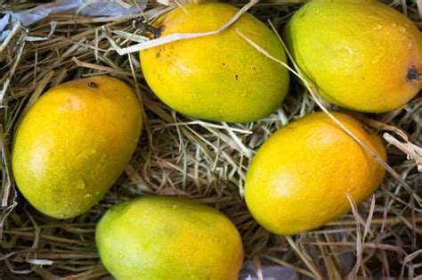 Interesting facts about mangoes | Femina.in