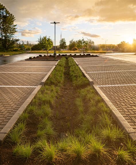 Sequoia Stonescapes // Grocery Outlet // Veneda Oregon Commercial ...