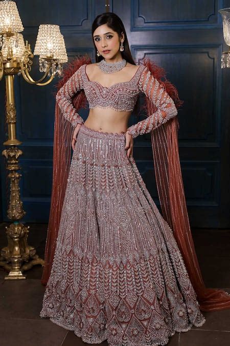 Buy Brown Net Sequins, Cut Work, Crystals Feather Embroidered Lehenga ...