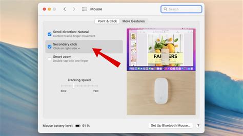 Image result for How to Fix Connection Problems with Magic Mouse
