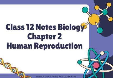 Image result for Bio Chap 20 Reproduction Class 12