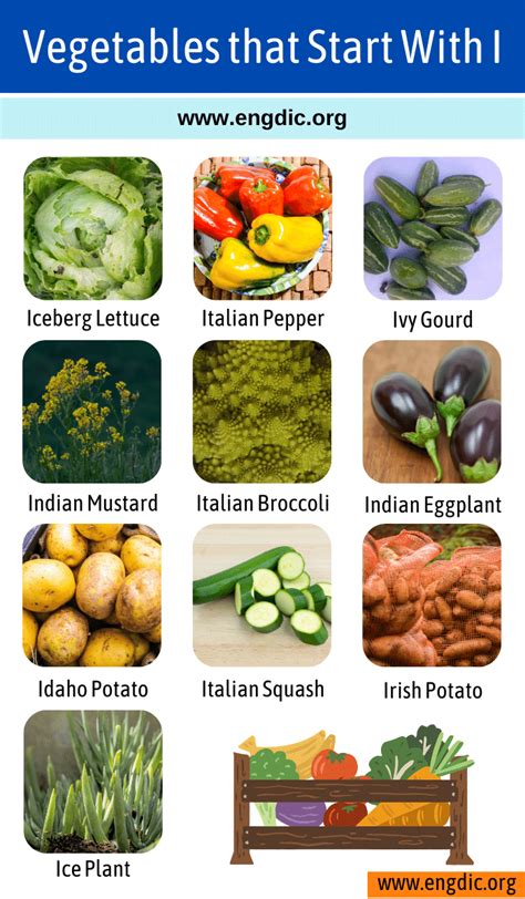 112 Vegetables That Start With I - EngDic