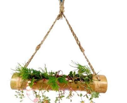 Dubori Bamboo Slide Cut Hanging Planter : Amazon.in: Garden & Outdoors