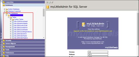 Accessing MS SQL database using myLittleAdmin - Diadem Technologies ...