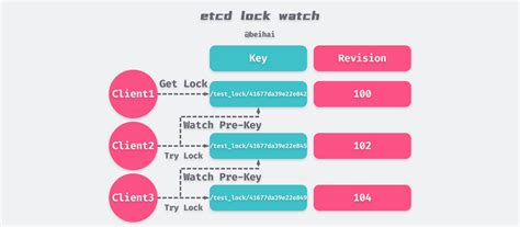 Image result for Distributed Lock Manager Etcd
