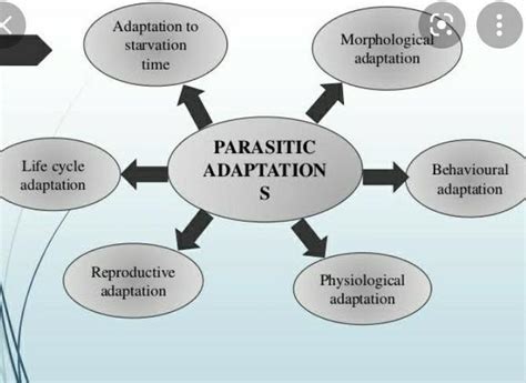 adaptive features of parasites - Brainly.in