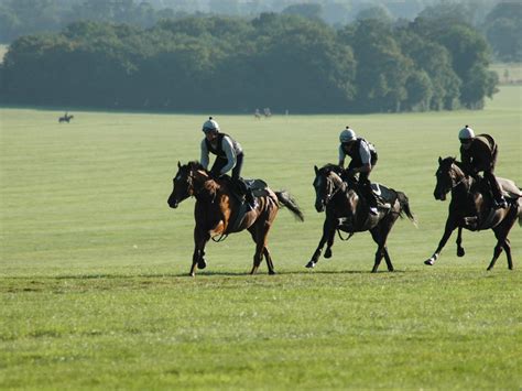 Eclipse Veterinary Software