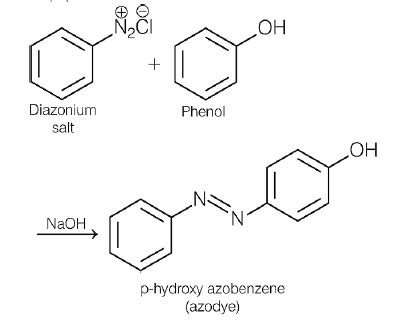 In the following reaction the major product is