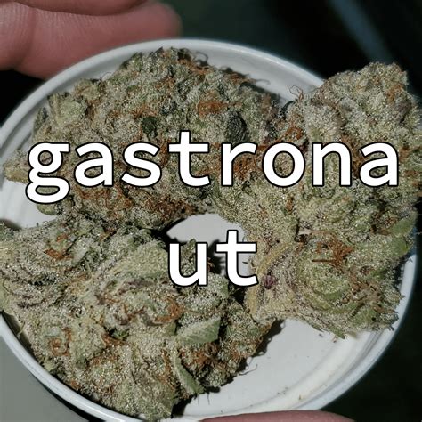 Just a shout out to all my Veteran family and the MA and US veteran Im just taking a moment to ...