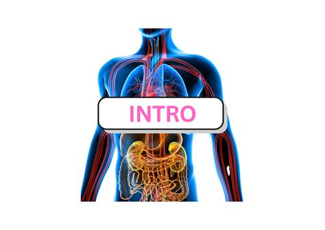 Testing Intro 的图像结果