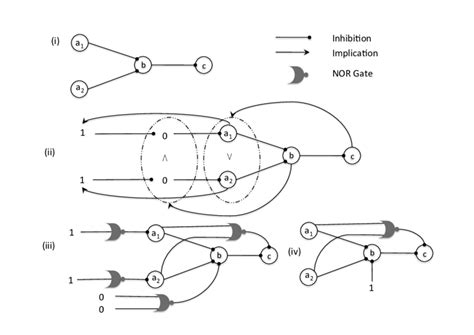 Image result for Random Boolean Networks