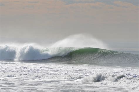 What Does It Take To Save Bolsa Chica?
