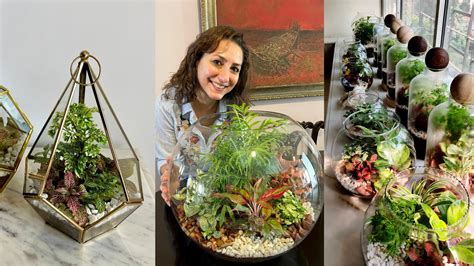 Earth Day: How Glass Bowl Terrariums Are Bringing Sunshine, Soil ...