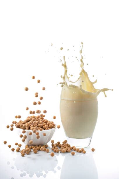 Milk Processing Steps 的图像结果