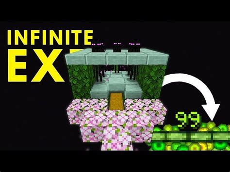 Best XP Farms Minecraft 1.17 Java 的图像结果