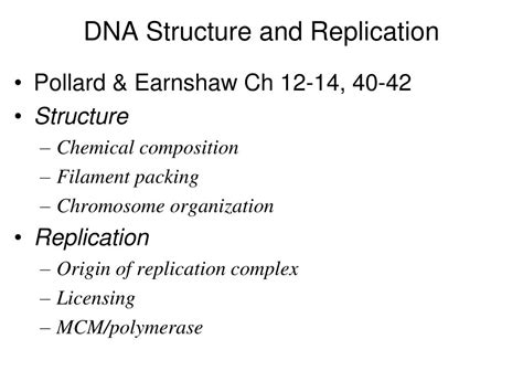 DNA Replication Structure 的图像结果
