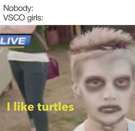 Einstein, Turtle, Lol, Memes, Turtles, Tortoise, Meme, Fun
