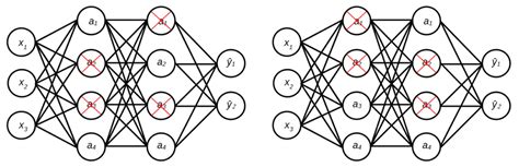 Image result for Regularization Function Neural Net
