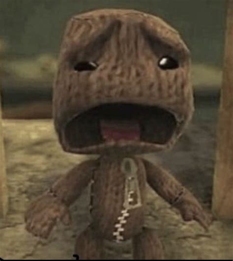 Pin by Briannis on Funny pics ( I find them funny 😂 ) | Little big planet, Memes, Silly pictures