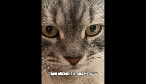 Image result for Colorful Notes HTML