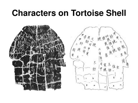 Tortoise Shell Characters 的图像结果