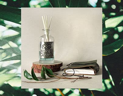 Image result for Large Diffuser