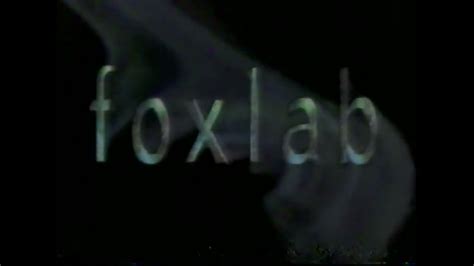 Image result for Concept Fox Lab GBC Lab Victor Lab