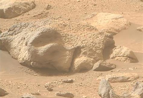 Image result for Alien Skull On Mars