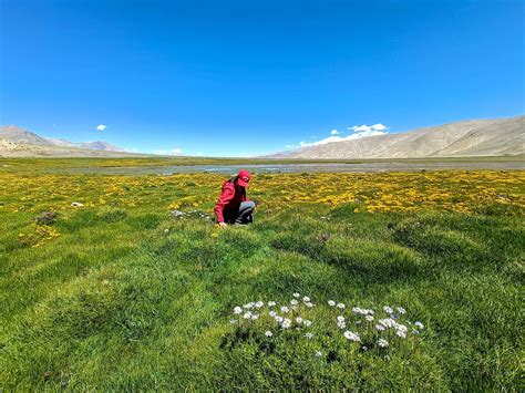6 best Himalayan treks for the monsoon | Condé Nast Traveller India
