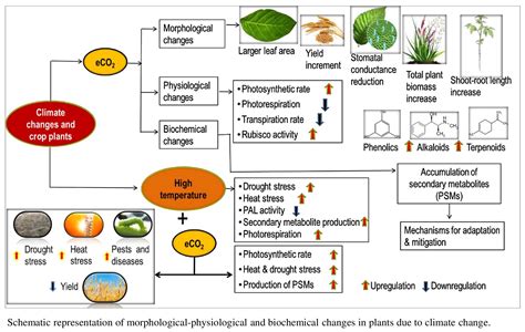 How Does Fertilizer Affect Climate Change at Virgie Foreman blog