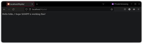 Image result for Xampp Localhost Using