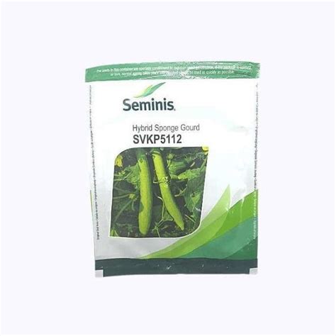 SVKP5112 Sponge Gourd Seeds - Seminis | F1 Hybrid | Buy Online Now ...