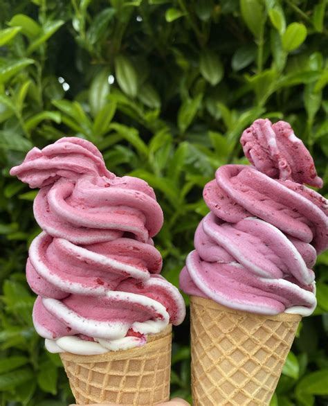 Coming Soon: New Zealand-Style Real Fruit Ice Cream from Nico's ...