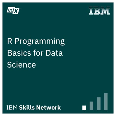 R Programming Basics 的图像结果