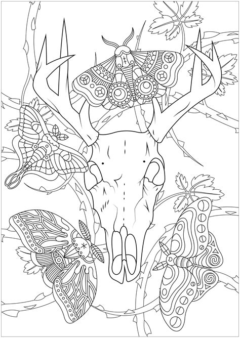 Deer skull and moths - Butterflies & Insects Coloring Pages for adults