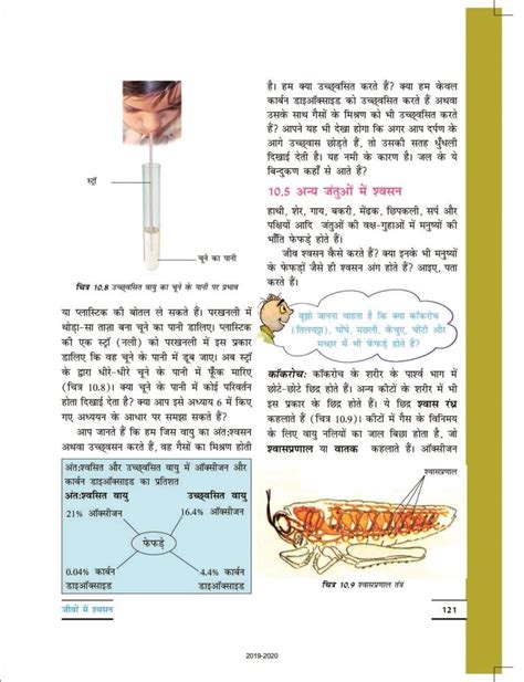 CBSE Class 10 Science Chapter 7 的图像结果