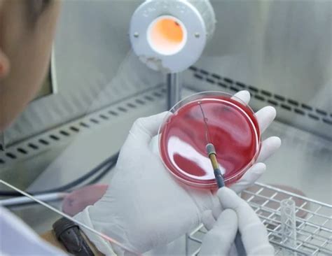 Top Global Health Stories of 2024: Breakthroughs, Challenges, and ...