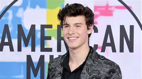 Shawn Mendes Tall Cm at Samantha Buck blog