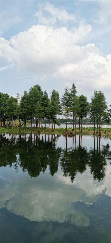 无锡的冬日，贡湖湾湿地公园是个仙境般的地方……__财经头条