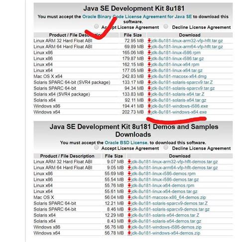 Java JDK Oracle 的图像结果