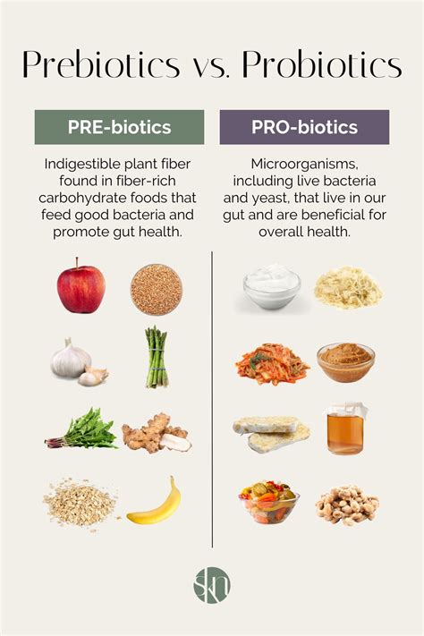 Prebiotics vs. Probiotics: What's the Difference? - Stephanie Kay Nutrition